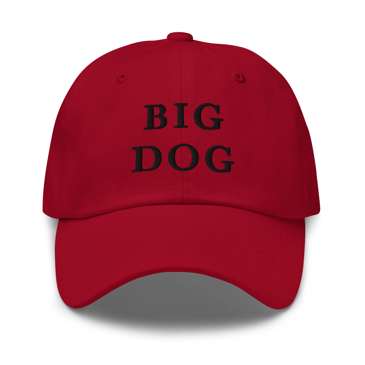 WHITE BOY SUMMER - Big Dog - "Big Dog" - Black Embroidered Baseball Cap - Hat Cranberry