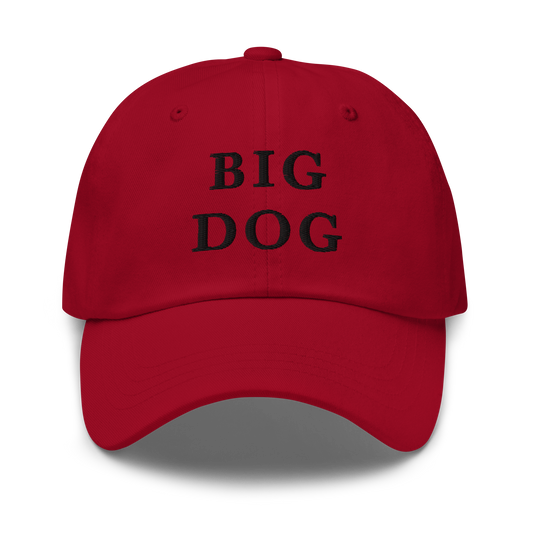 WHITE BOY SUMMER - Big Dog - "Big Dog" - Black Embroidered Baseball Cap - Hat Cranberry