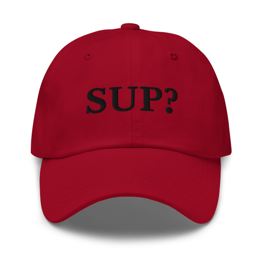 WHITE BOY SUMMER - Sup? - "Sup?" - Black Embroidered Baseball Cap - Hat Cranberry