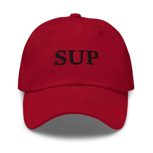 WHITE BOY SUMMER - Sup? - "Sup" - Black Embroidered Baseball Cap - Hat Cranberry
