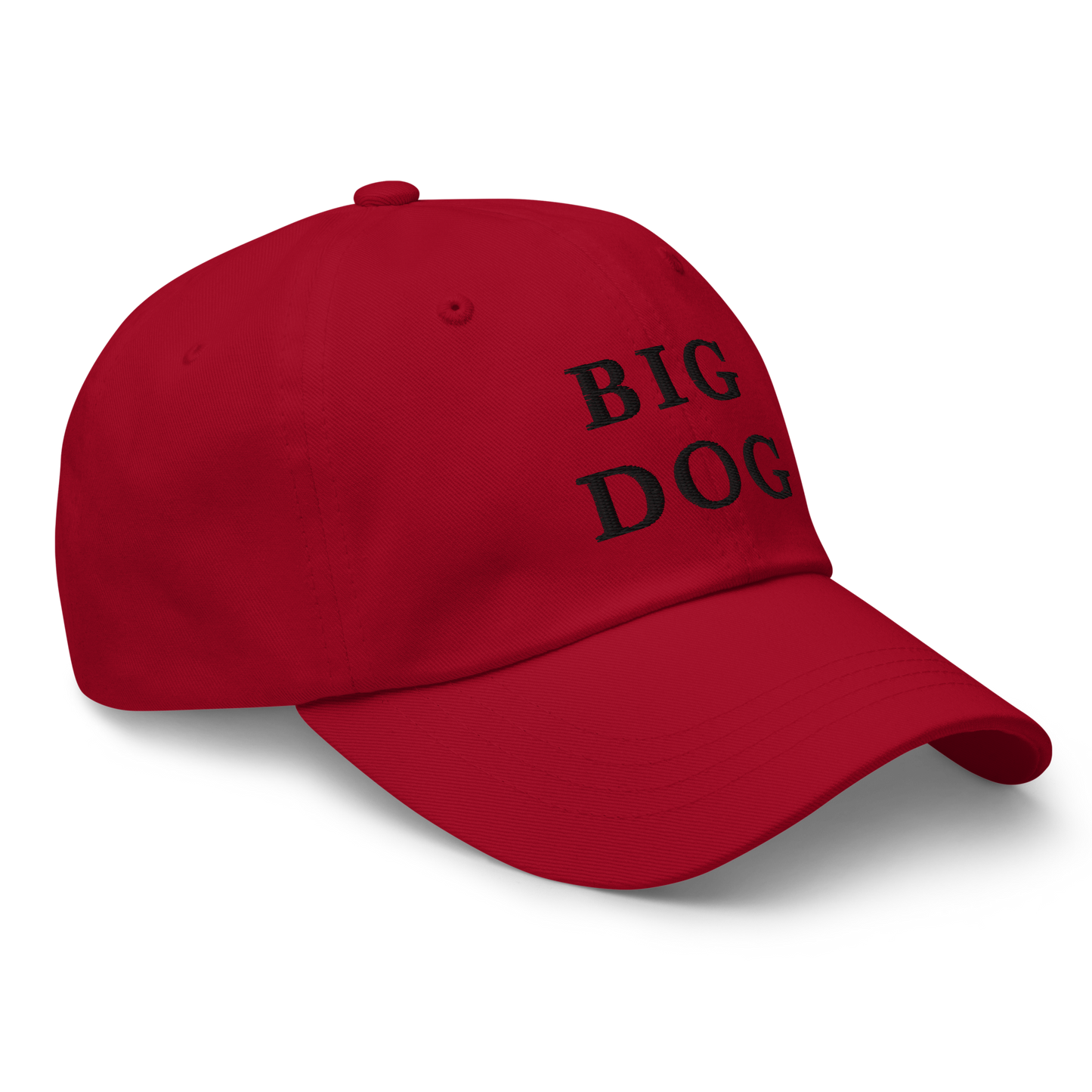 WHITE BOY SUMMER - Big Dog - "Big Dog" - Black Embroidered Baseball Cap - Hat