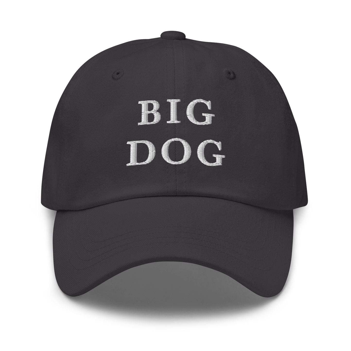 WHITE BOY SUMMER - Big Dog - "Big Dog" - White Embroidered Baseball Cap - Hat Dark Grey