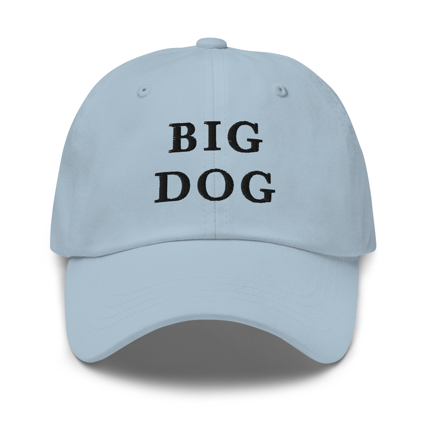WHITE BOY SUMMER - Big Dog - "Big Dog" - Black Embroidered Baseball Cap - Hat Light Blue