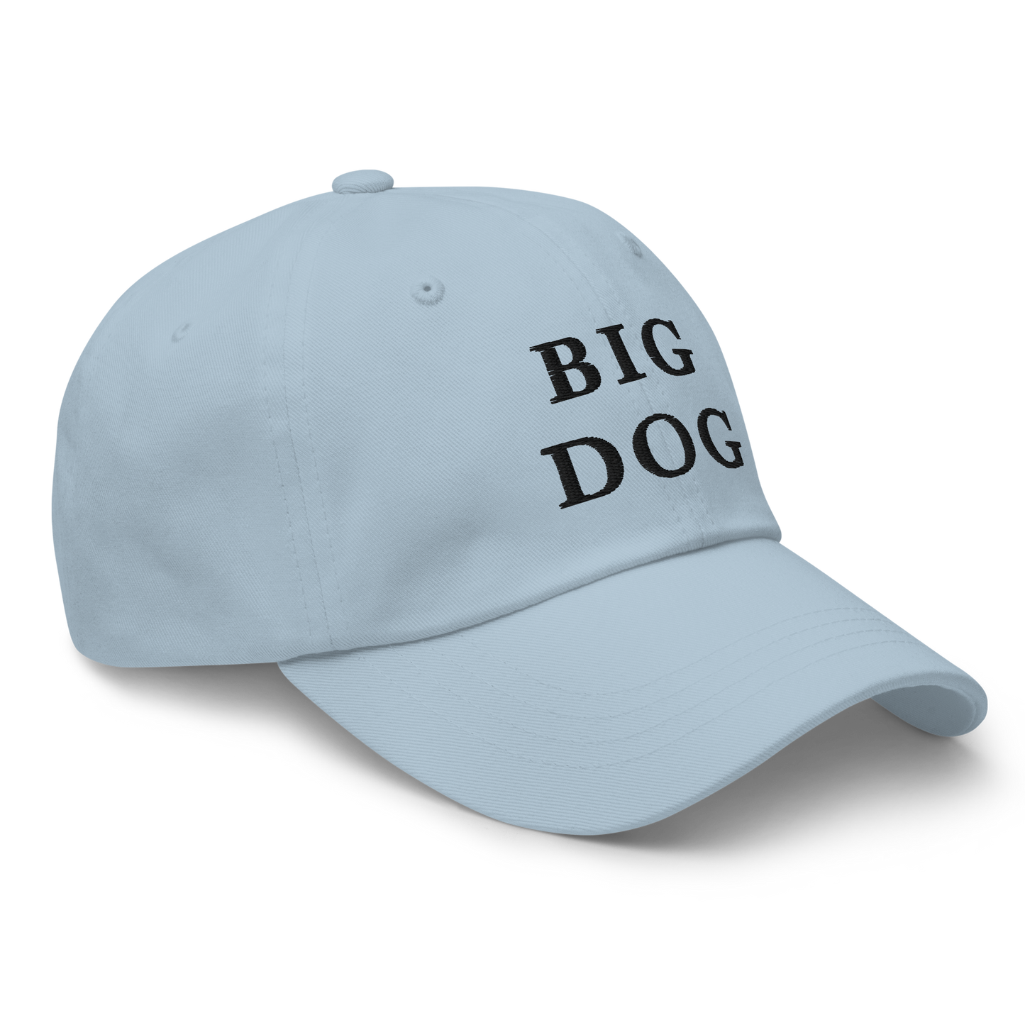 WHITE BOY SUMMER - Big Dog - "Big Dog" - Black Embroidered Baseball Cap - Hat