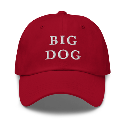 WHITE BOY SUMMER - Big Dog - "Big Dog" - White Embroidered Baseball Cap - Hat Cranberry