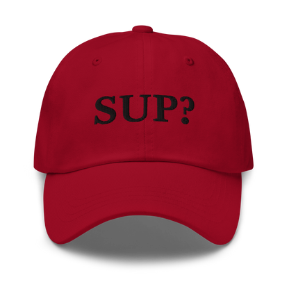 WHITE BOY SUMMER - Sup? - "Sup?" - Black Embroidered Baseball Cap - Hat Cranberry