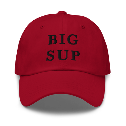 WHITE BOY SUMMER - Sup? - "Big Sup" - Black Embroidered Baseball Cap - Hat Cranberry