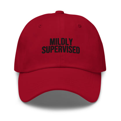 Mildly Supervised embroidered baseball cap in Cranberry with black embroidery by White Boy Summer