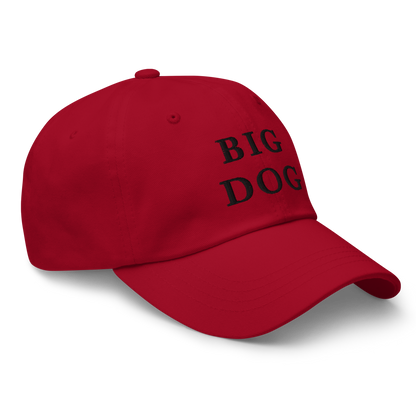 WHITE BOY SUMMER - Big Dog - "Big Dog" - Black Embroidered Baseball Cap - Hat 