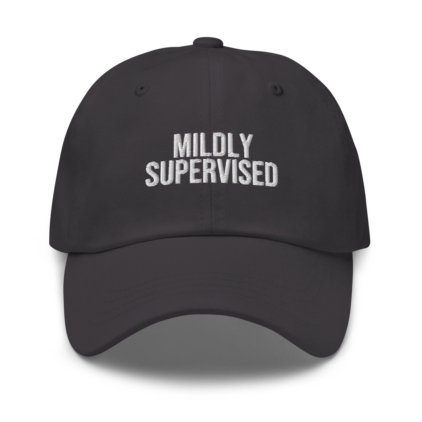 Mildly Supervised embroidered baseball cap in Dark Grey with white embroidery by White Boy Summer