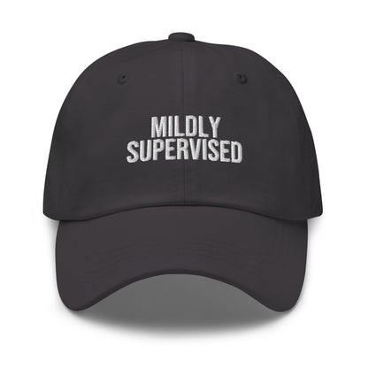 Mildly Supervised embroidered baseball cap in Dark Grey with white embroidery by White Boy Summer