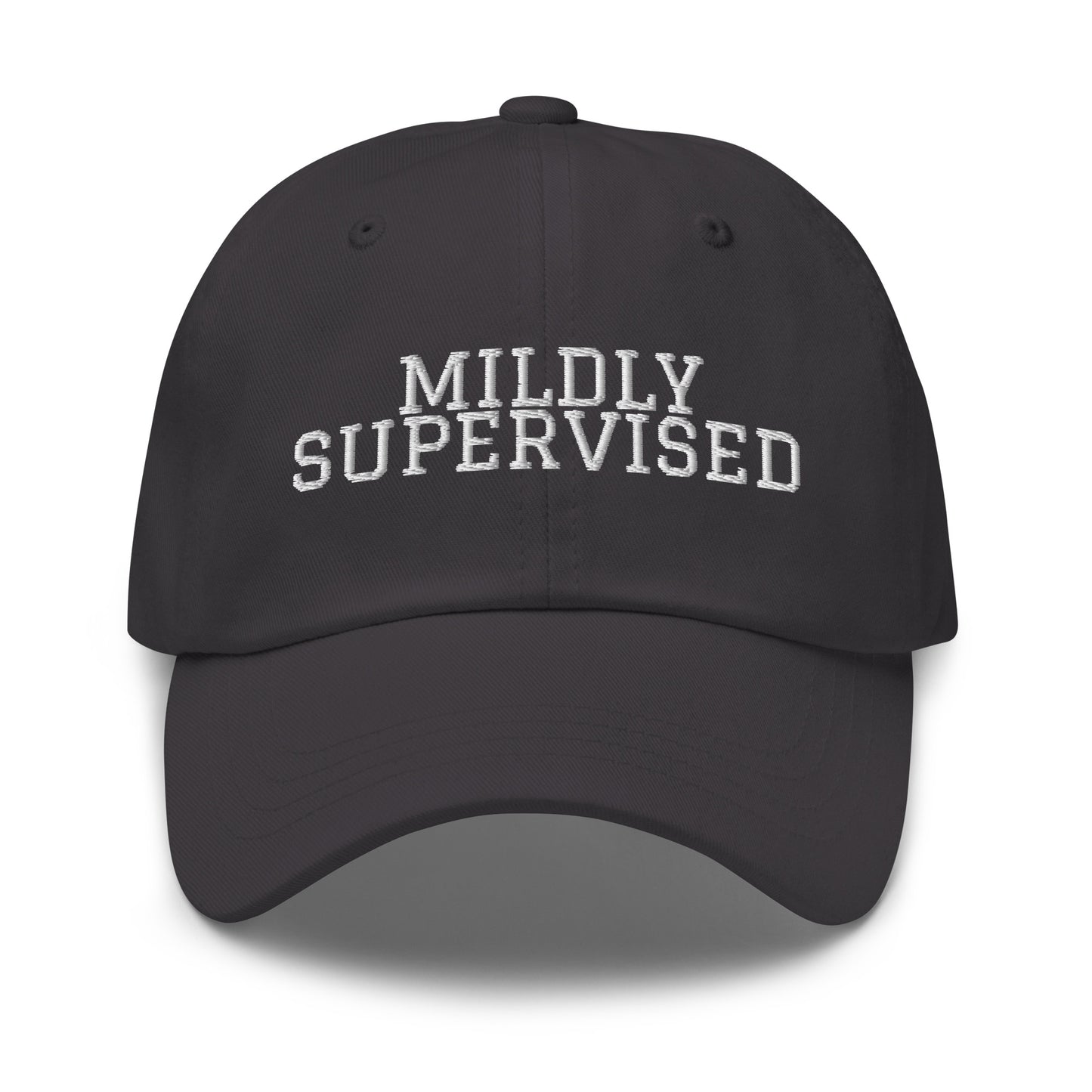 Mildly Supervised embroidered baseball cap in Dark Grey with white embroidery by White Boy Summer