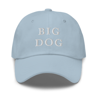 WHITE BOY SUMMER - Big Dog - "Big Dog" - White Embroidered Baseball Cap - Hat Light Blue