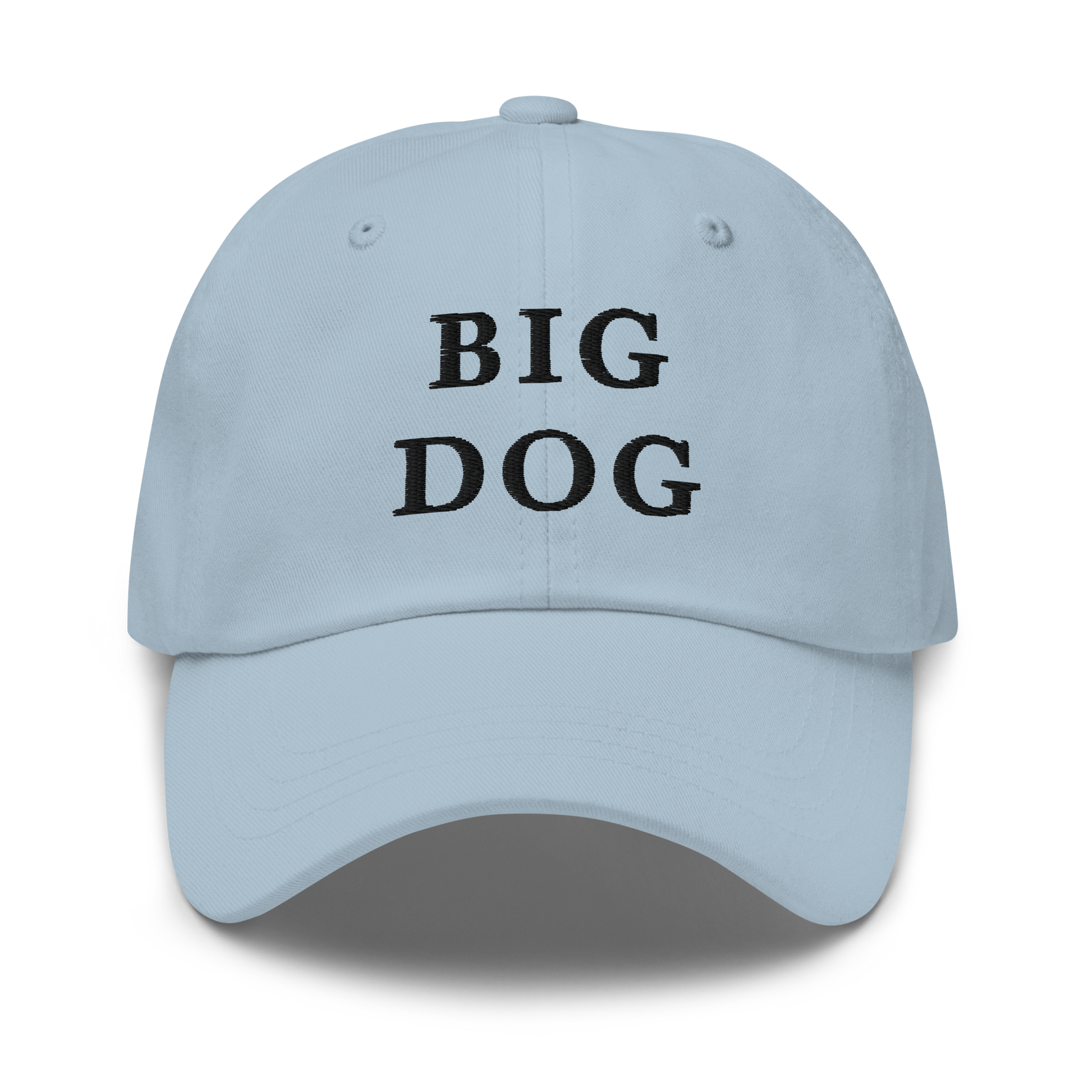 WHITE BOY SUMMER - Big Dog - "Big Dog" - Black Embroidered Baseball Cap - Hat Light Blue