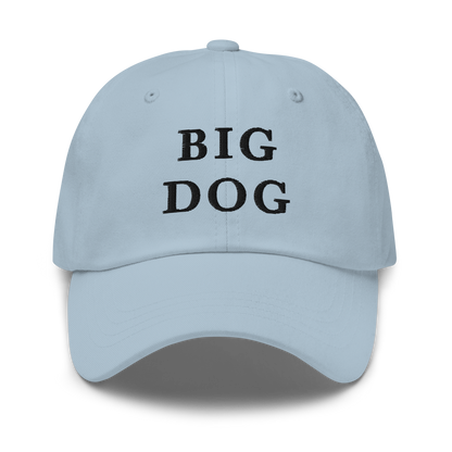 WHITE BOY SUMMER - Big Dog - "Big Dog" - Black Embroidered Baseball Cap - Hat Light Blue