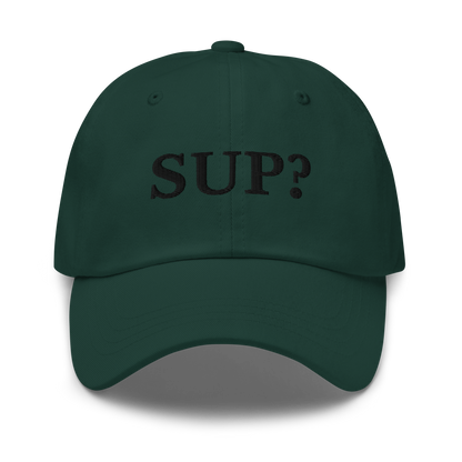 WHITE BOY SUMMER - Sup? - "Sup?" - Black Embroidered Baseball Cap - Hat Spruce