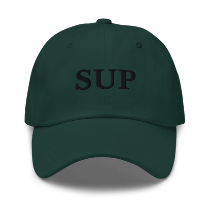 WHITE BOY SUMMER - Sup? - "Sup" - Black Embroidered Baseball Cap - Hat Spruce