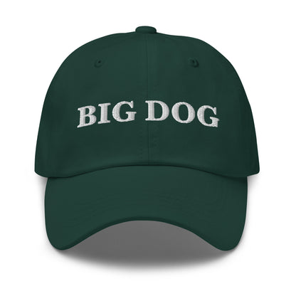 BIG DOG Spruce front cap mockup