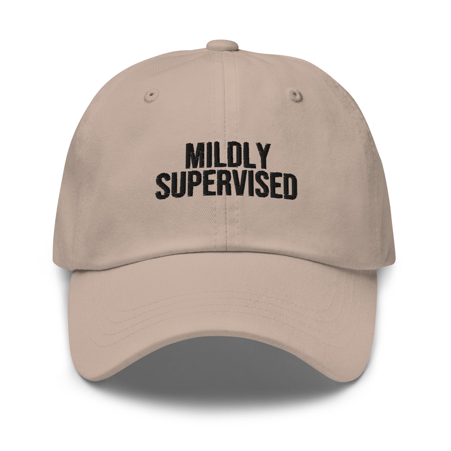 Mildly Supervised embroidered baseball cap in Stone with black embroidery by White Boy Summer